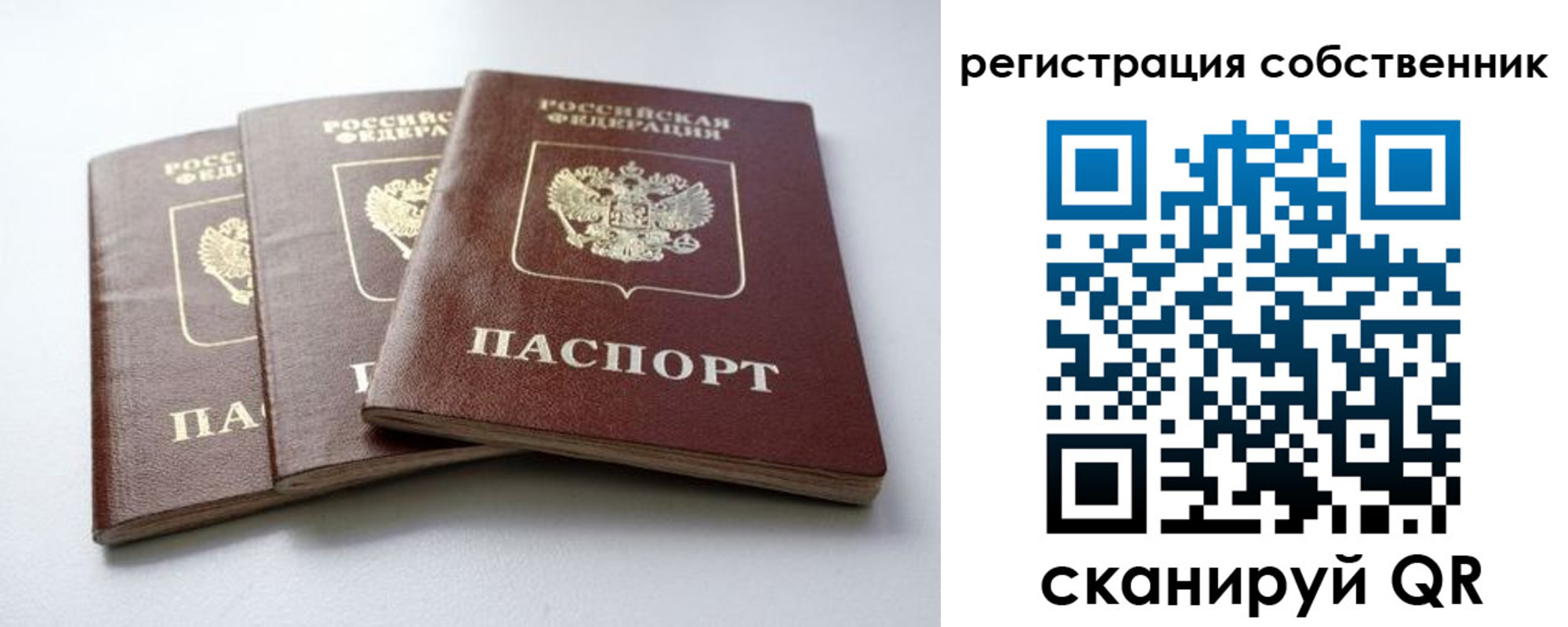 прописка для школы в Марксе